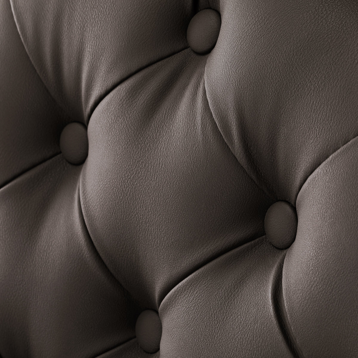 Barberstuhl Gabbiano Niccolo Braun